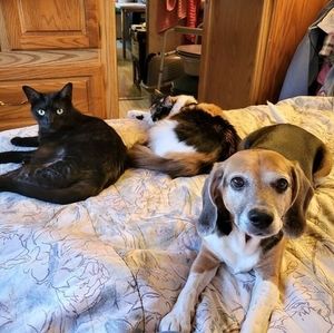 Meet your Posher, Charlene